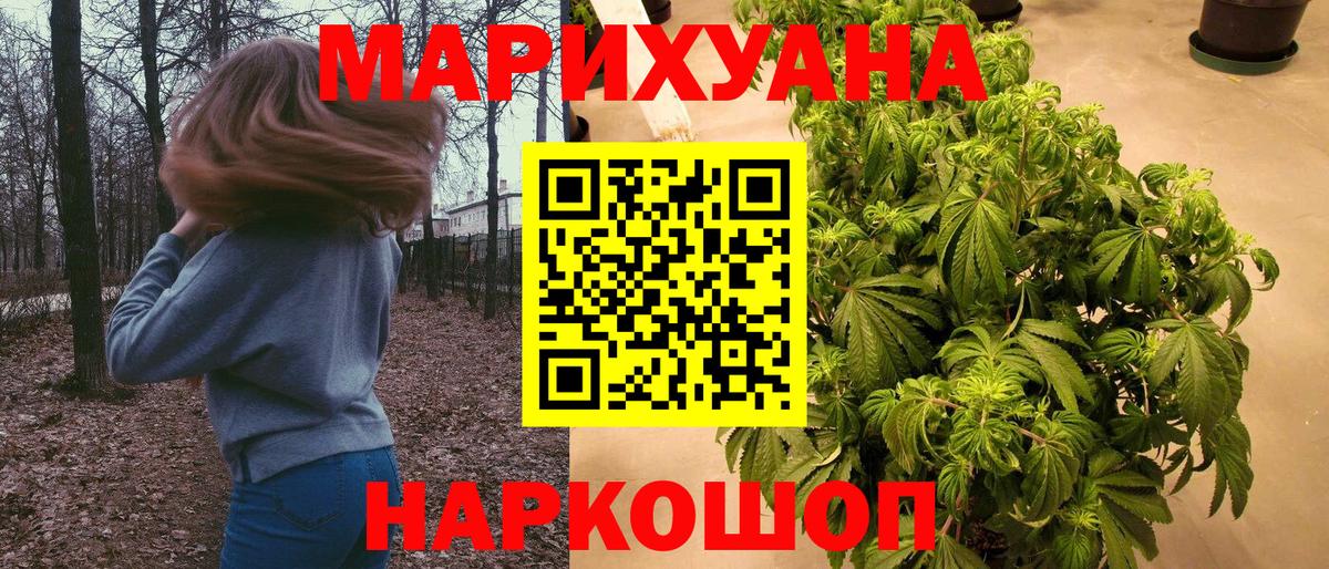 Конопля семена  Вход с VPN  Конопля AK-47  Бошки Шишки White Widow  Марихуана сатива  Екатеринбург 